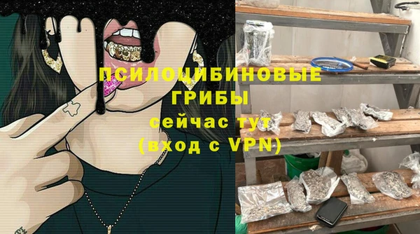 молекула духа Балахна