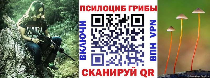 Галлюциногенные грибы Psilocybe  Буинск 